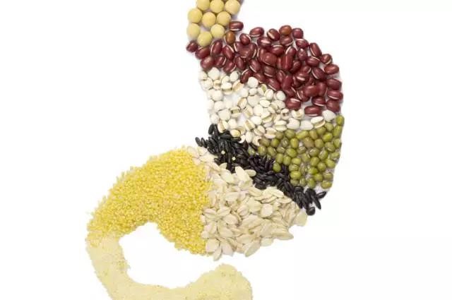 長(zhǎng)夏養(yǎng)生，吃出好“ 胃”口！